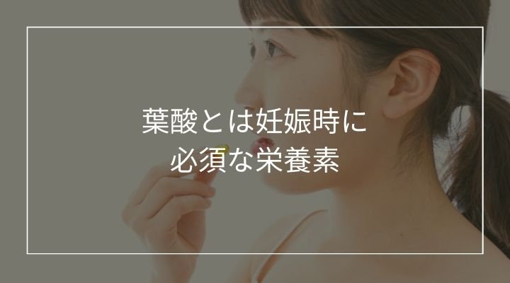 葉酸とは何ですか?妊娠時に必須な理由を解説します！